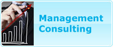 Management Consulting